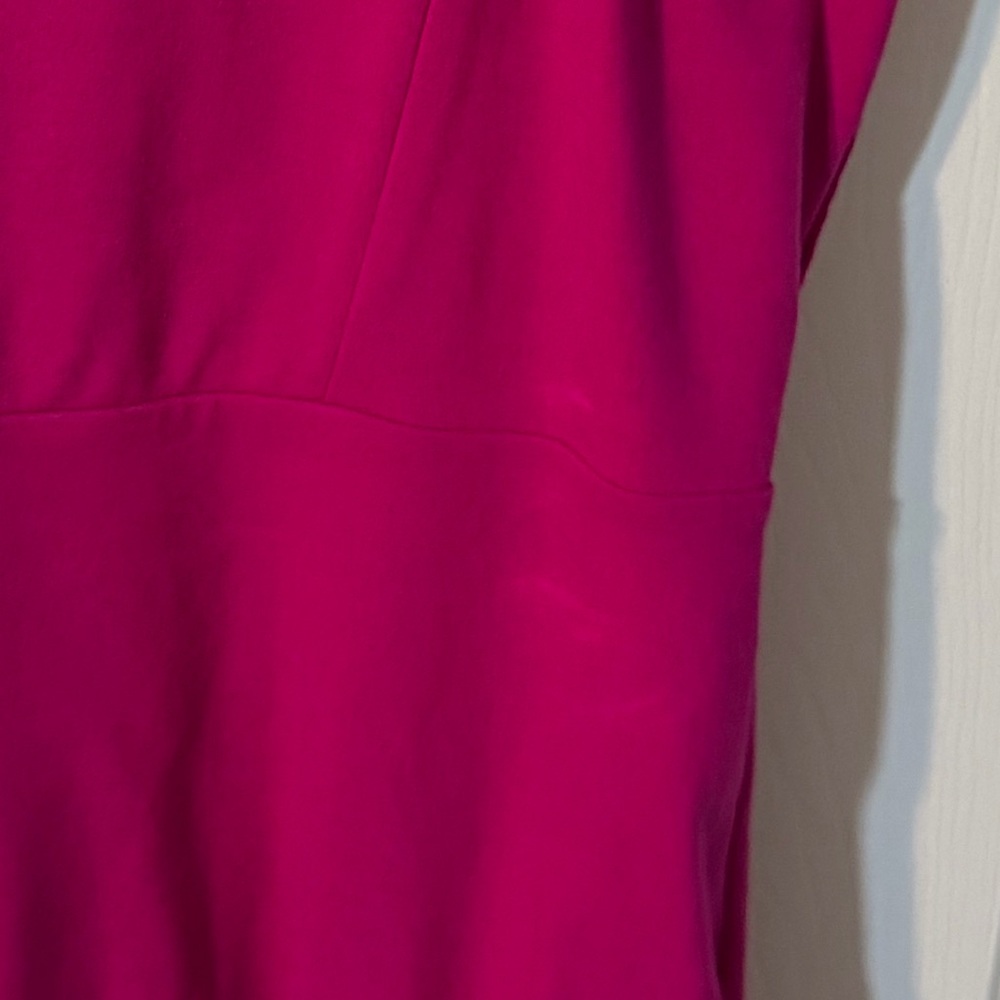 Express Fuchsia Dress - Picture 7 of 7